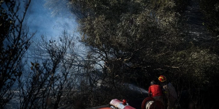 EKTAKTO – Μπαράζ πυρκαγιών: Όλα τα νέα μέτωπα – Κιλκίς, Πρέσπες, Ηλεία και Ζάκυνθος- Σε συναγερμό η πυροσβεστική